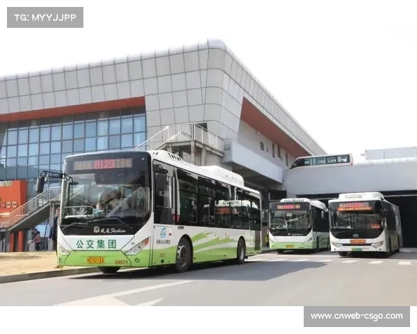 肇庆公交专线开通,便捷交通保障万人观赛体验 肇庆公交专线开通,便捷交通保障万人观赛体验