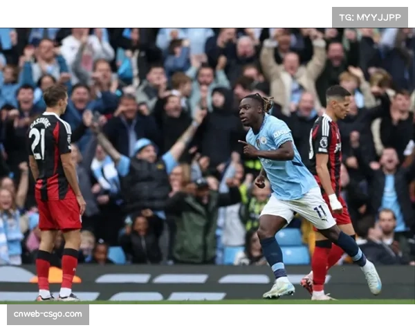场边花絮:富勒姆主场短暂停电,比赛中断约十分钟